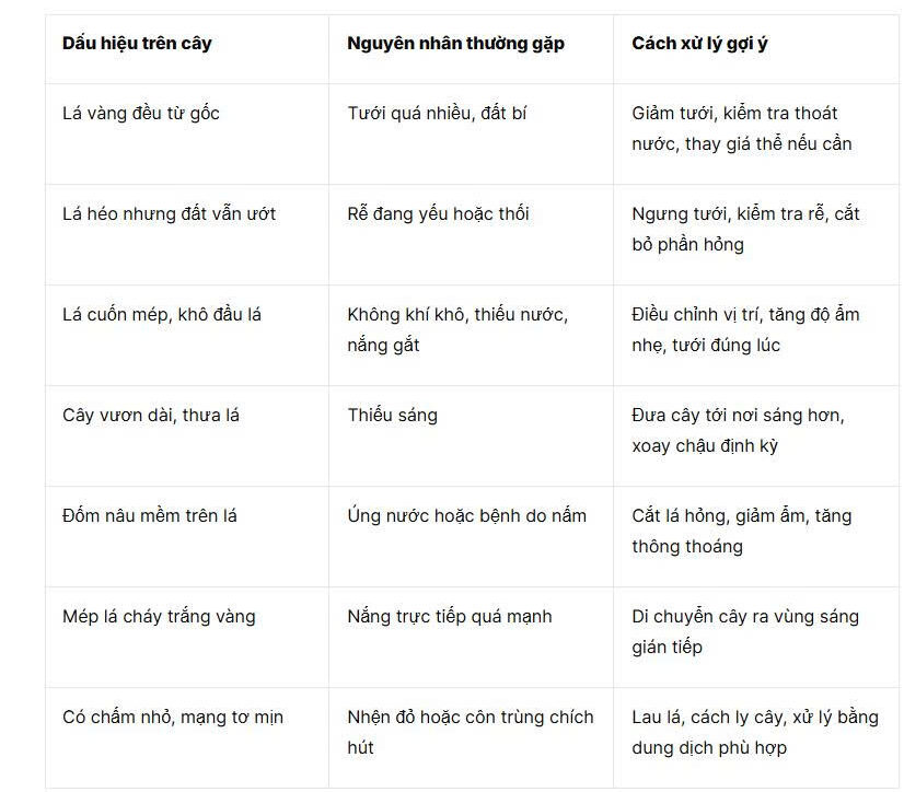 Bảng dấu hiệu thường gặp khi chăm sóc cây cảnh 